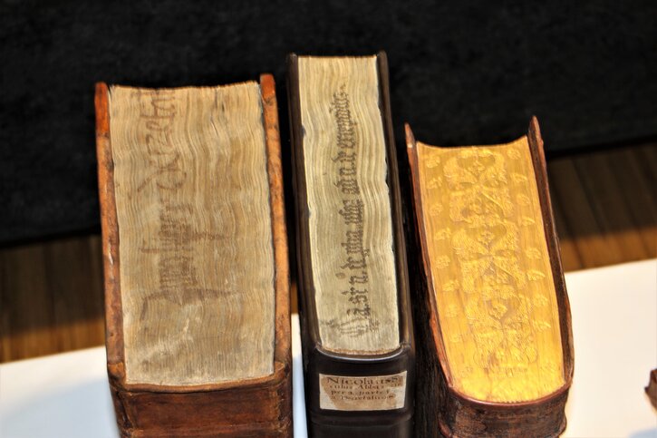 Andreas-Möller-Bibliothek im Geschwister-Scholl-Gymnasium Freiberg ©Andreas-Möller-Bibliothek drei antike Bücher von oben betrachtet